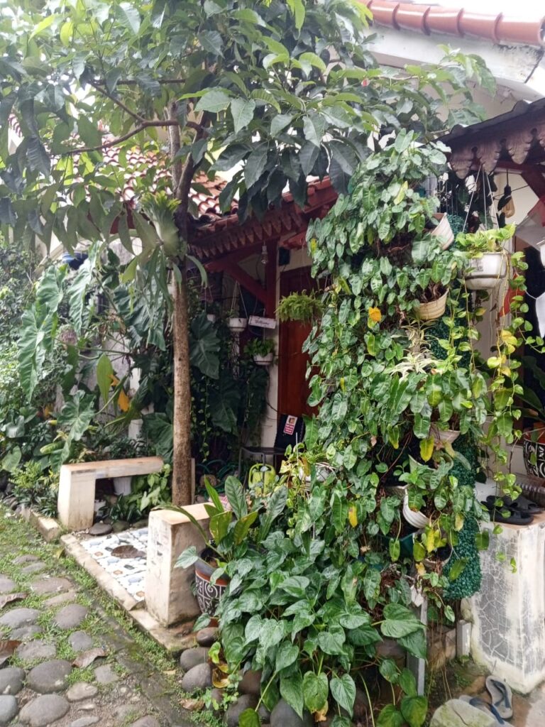 Taman Mini Pekarangan Rumah