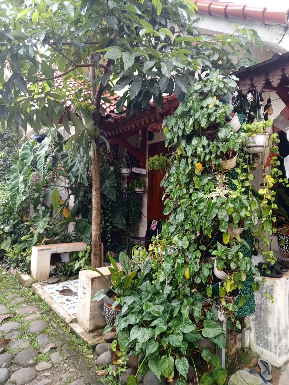 Taman Mini di Pekarangan Rumah