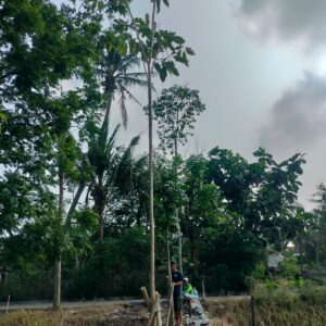 Alhamdulillah, Wakaf Pohon Sudah Dimulai